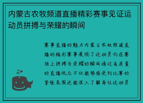 内蒙古农牧频道直播精彩赛事见证运动员拼搏与荣耀的瞬间